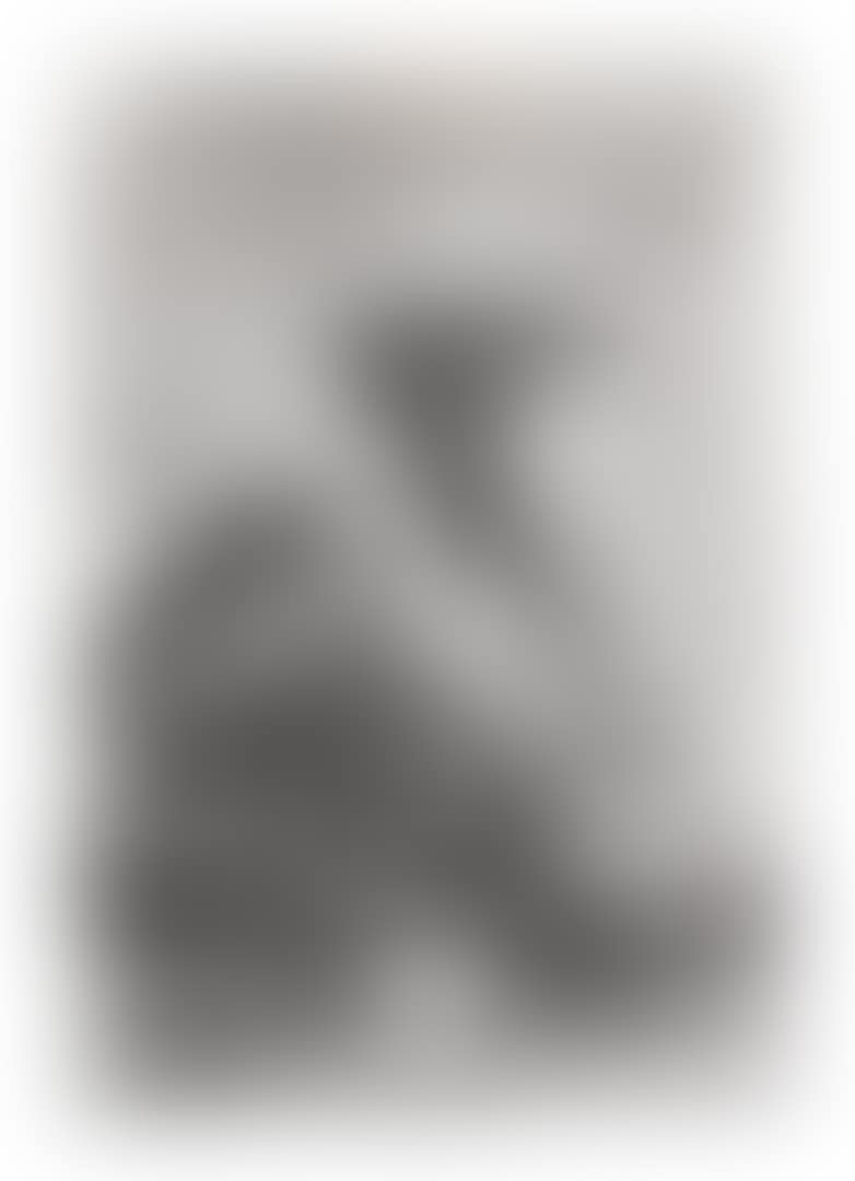 THE LONE PROSPECTOR (RECONSTRUCTED HISTORY SERIES) (preview)