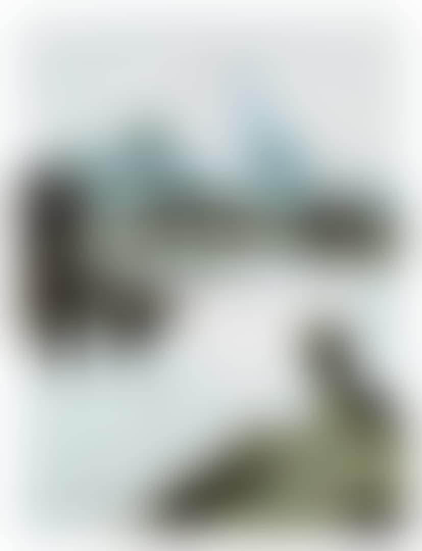 MOUNTAIN REFLECTION (preview)