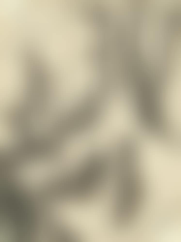 Players (preview)