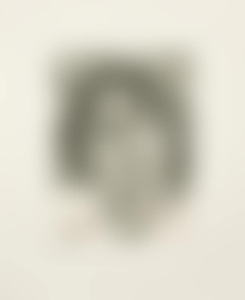 Solicitor's Head (Figura 62) (preview)