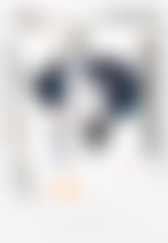 Fashion Plate (Lullin 76) (preview)