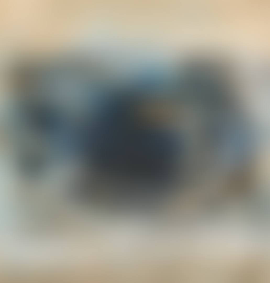 UNTITLED [SANS TITRE] (preview)