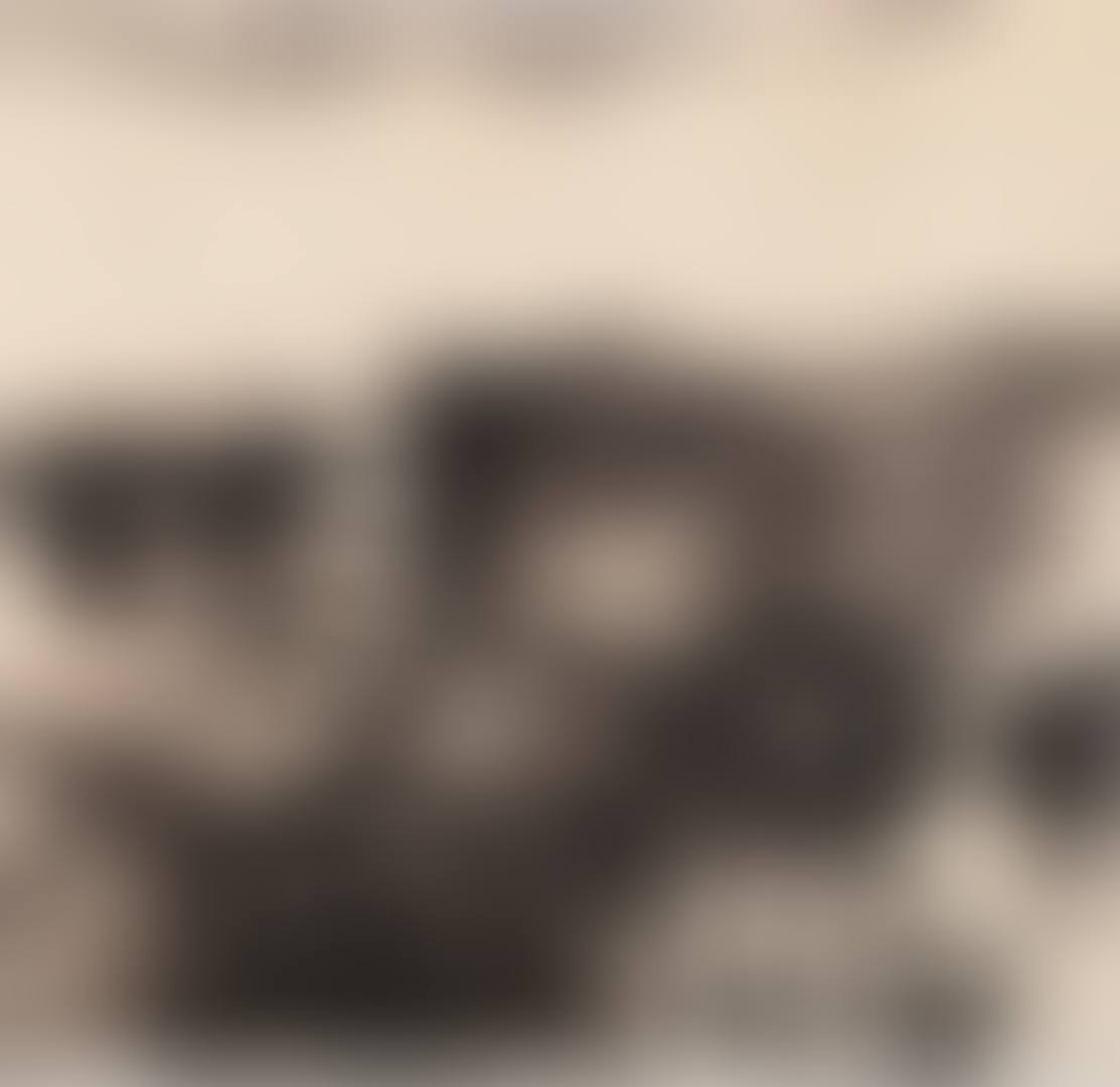 UNTITLED [SANS TITRE] (preview)