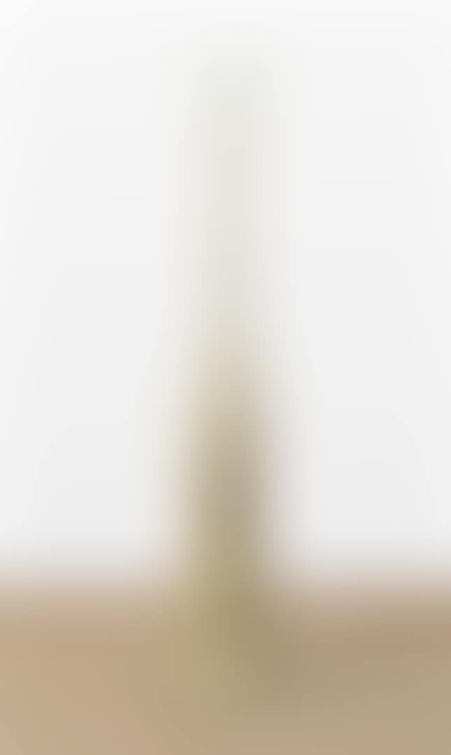 Libelle (from: Wald) (preview)