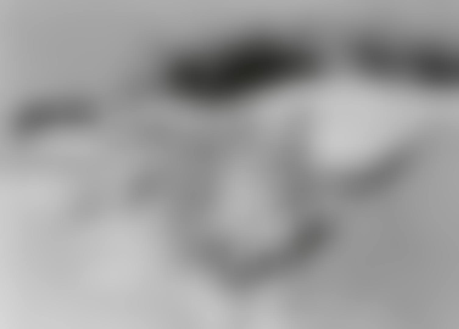 Untitled (Winterlandschaft) (preview)