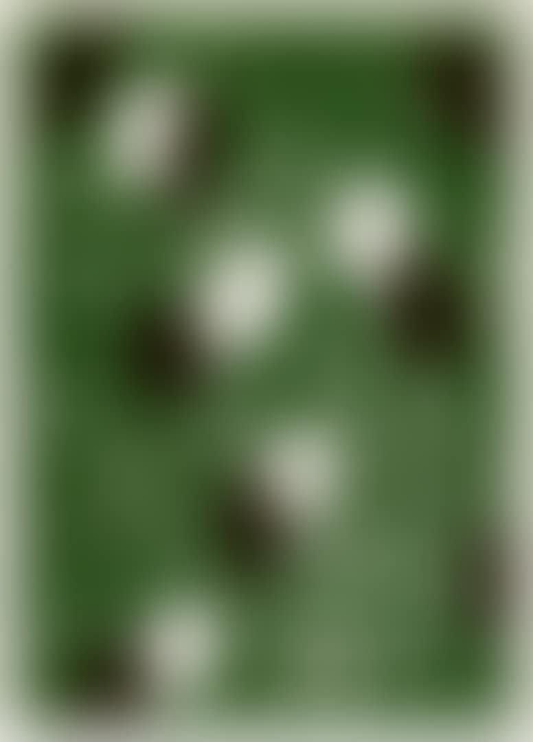 Acht Steine (preview)