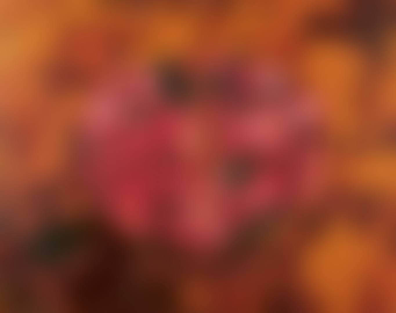 Mutilus II (preview)