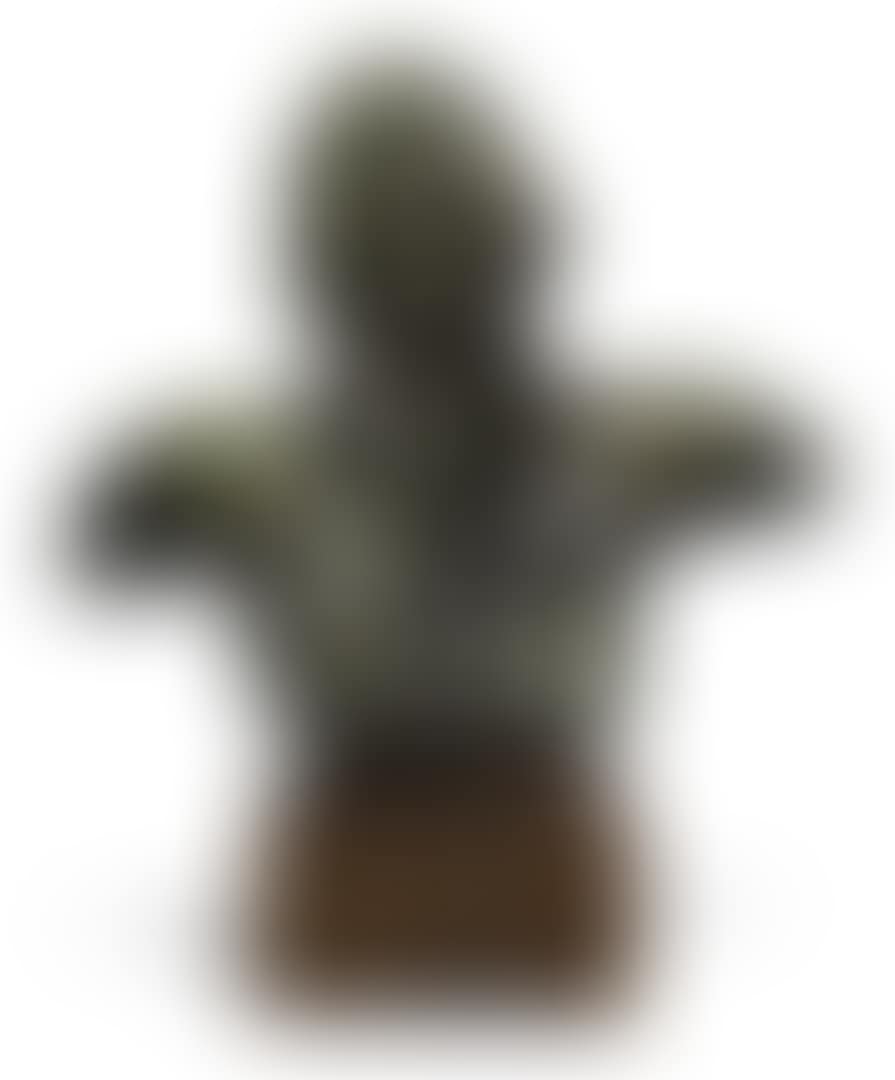 LE CRI (preview)
