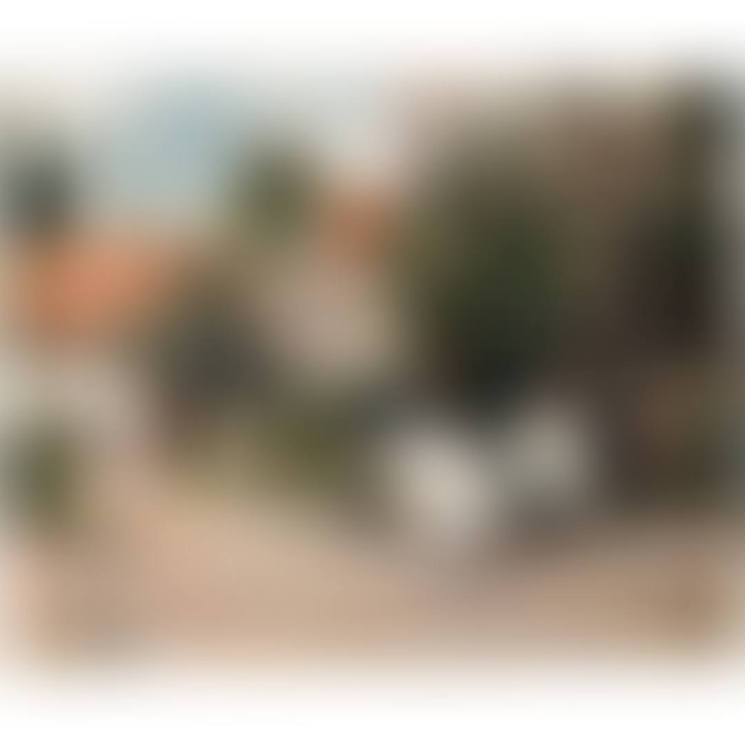Gisors - La couture au jardin (preview)