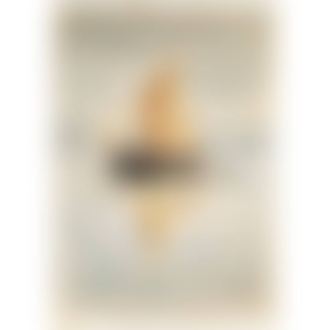 Segelschiff mit Spiegelungen (preview)