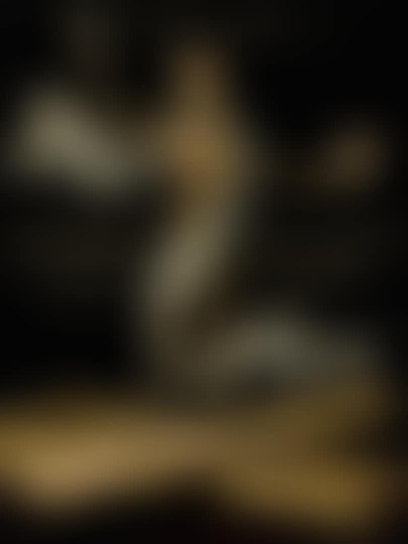 A SKELETON STANDING ON AN OPEN COFFIN HOLDING A SKULL AND AN ARROW, AS AN ALLEGORY OF EARTHLY VANITY AND DIVINE SALVATION (preview)