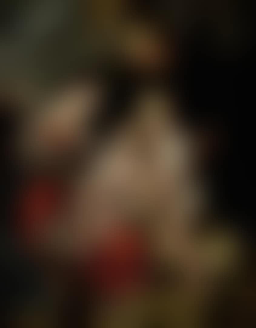 THE VIRGIN AND CHRIST CHILD, WITH SAINTS ELIZABETH AND JOHN THE BAPTIST (preview)