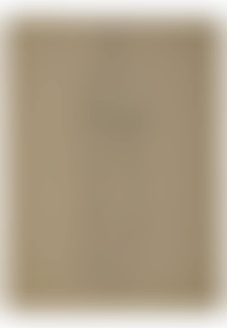 Standing draped woman (recto); Drapery study (verso) (preview)