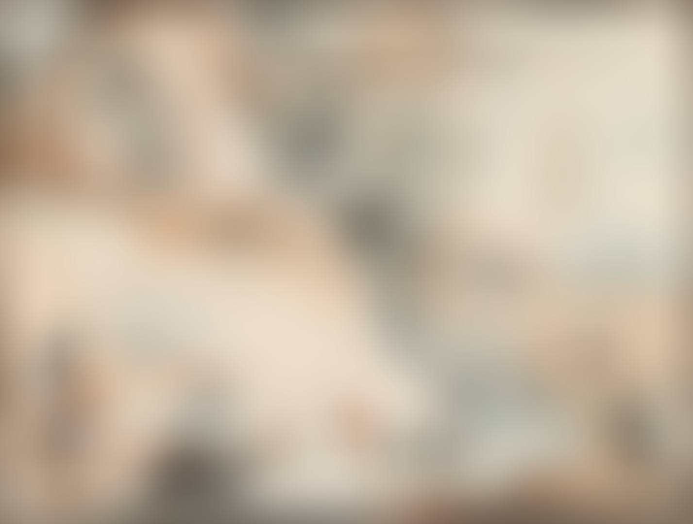 WATERFOWL IN A RIVER LANDSCAPE (preview)