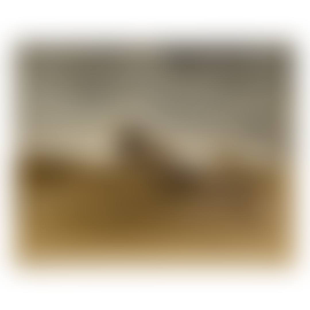 DUNKEBAKKE. FREDERIKSVÆRK (preview)