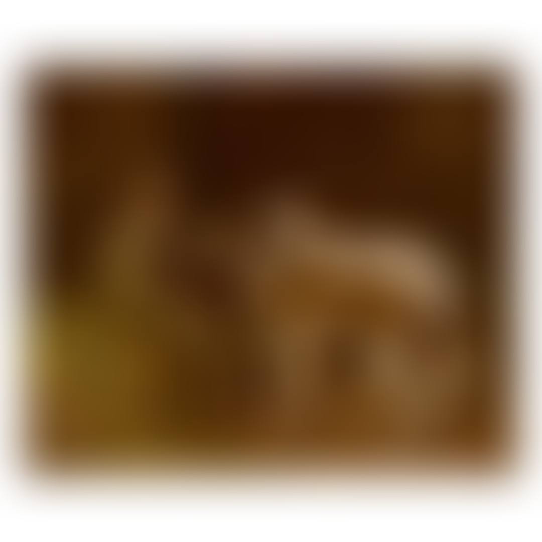 SHRIMP IN THE BARN WITH LURCHERS (preview)