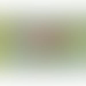 Abstract 1 (preview)