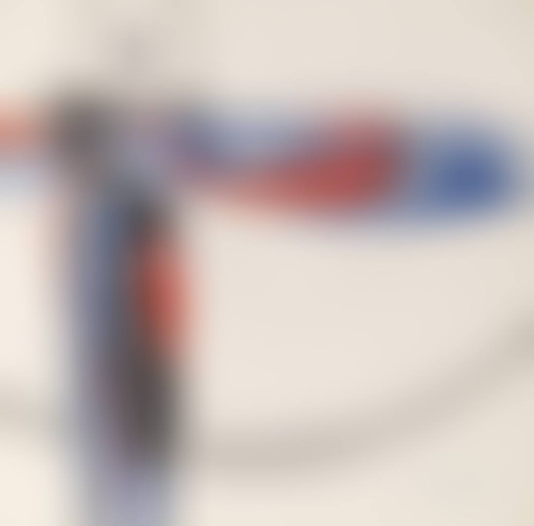 Disques et arabesques (preview)
