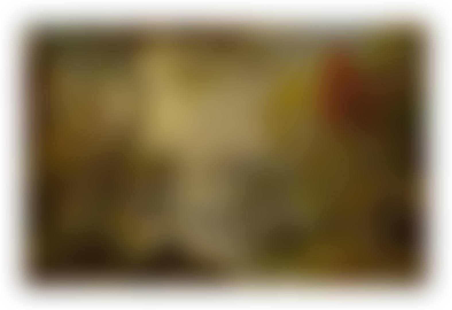 LAKE WAWAYANDA (preview)
