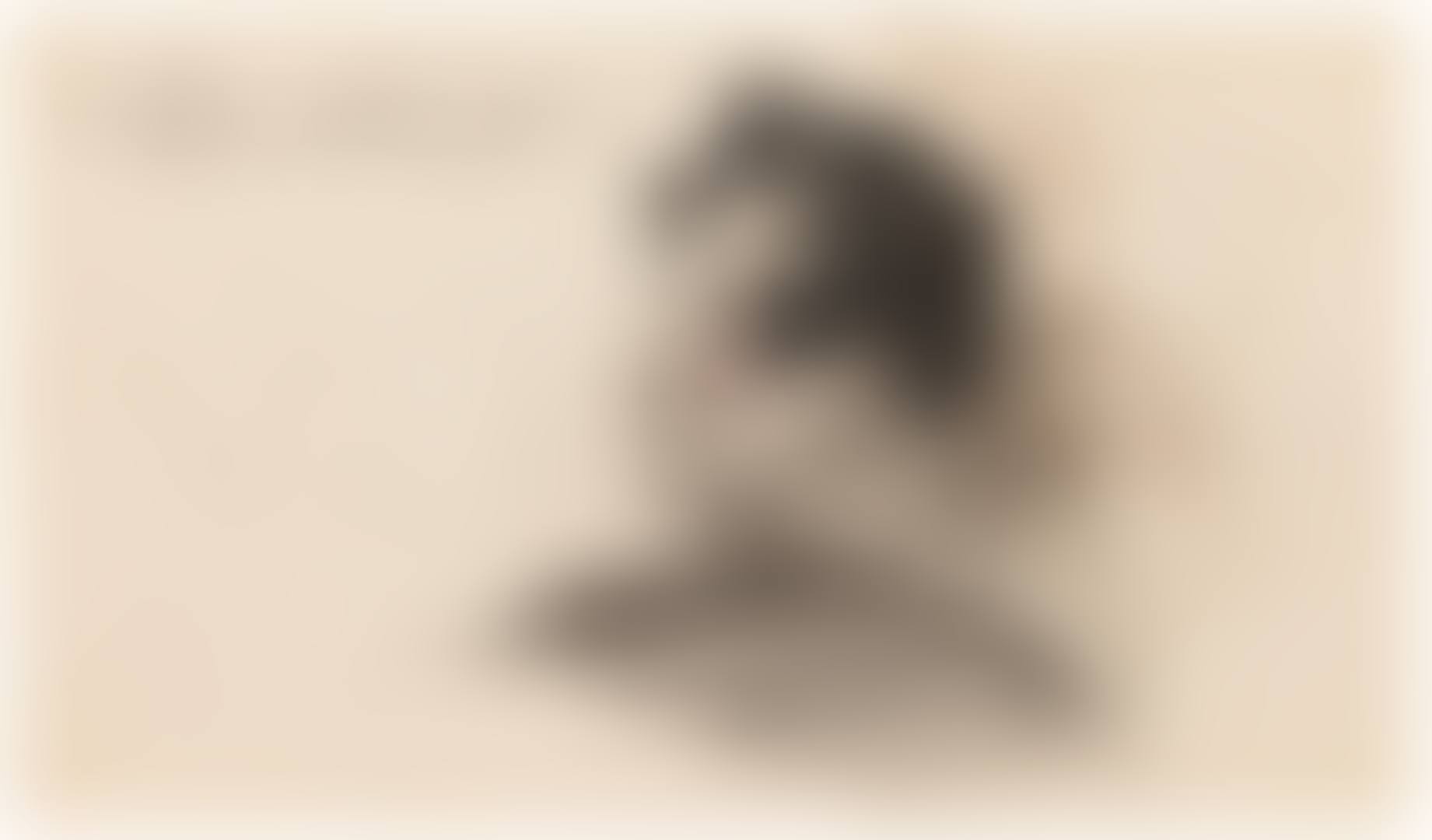 TÊTE D'HOMME, PROFIL (preview)