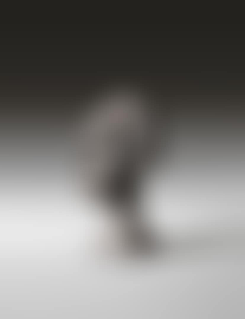 TÊTE DE DIEGO (preview)
