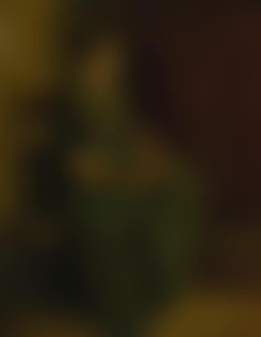 PEASANT WOMAN SEATED (preview)
