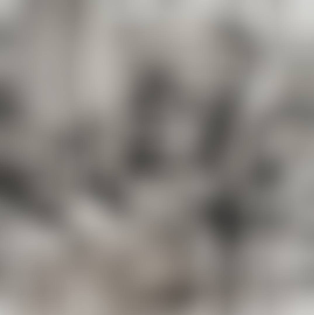 UNTITLED (preview)