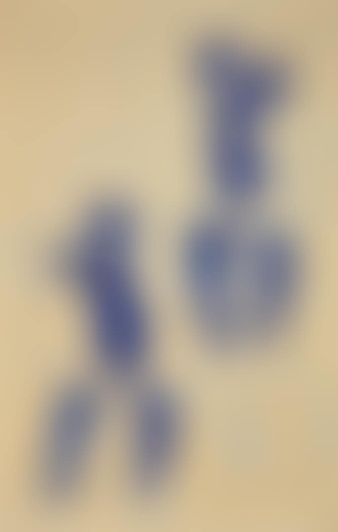 UNTITLED ANTHROPOMETRY (ANT 132) (preview)