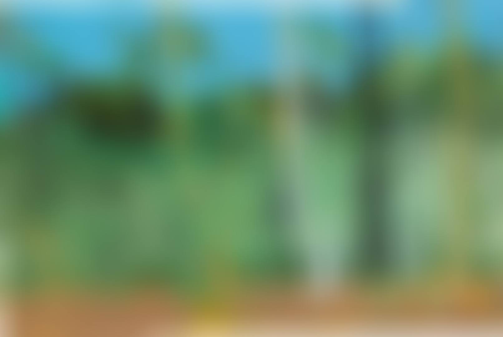 MARACAS IX (STUDY) (preview)