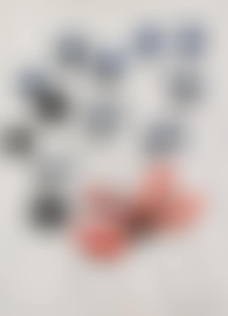 TREIZE FLEURS (preview)