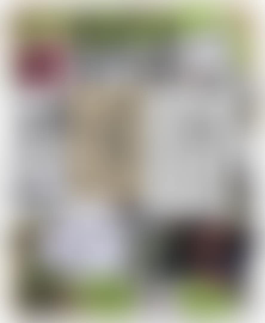 Untitled (preview)