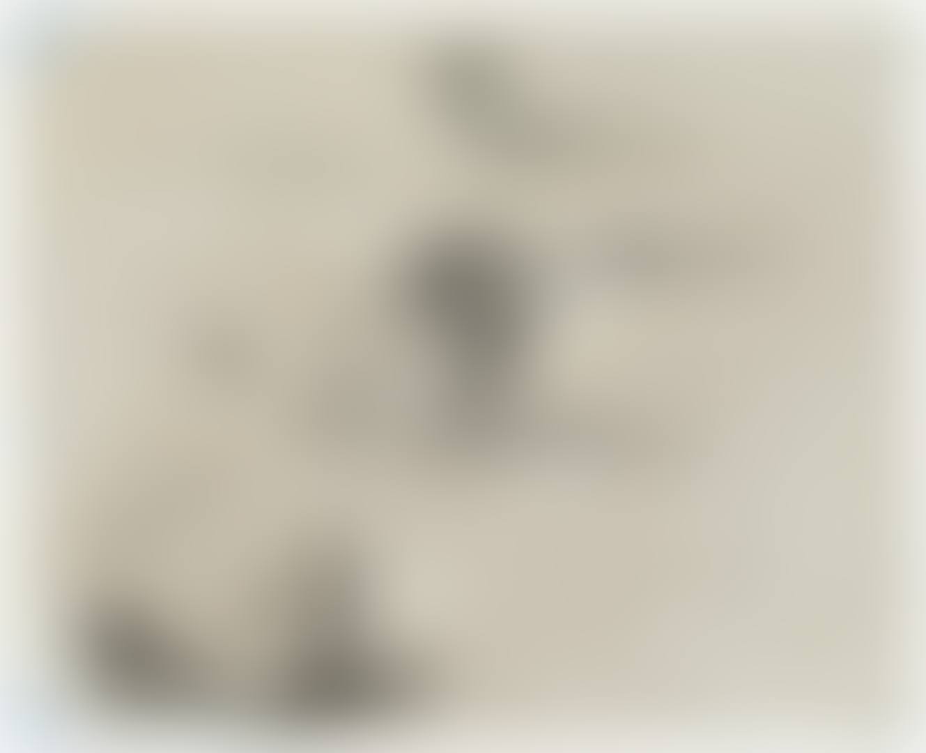 PRSPCTV (preview)