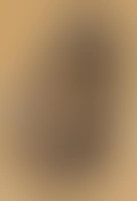 Tawny owl (preview)