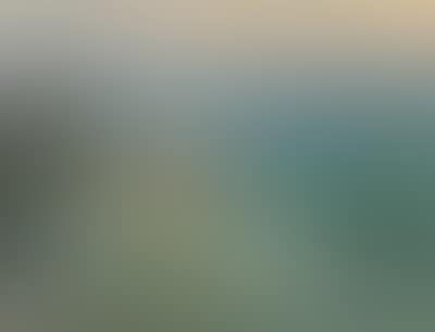 Evening mood on a southern coast (Dalmatia?) (preview)