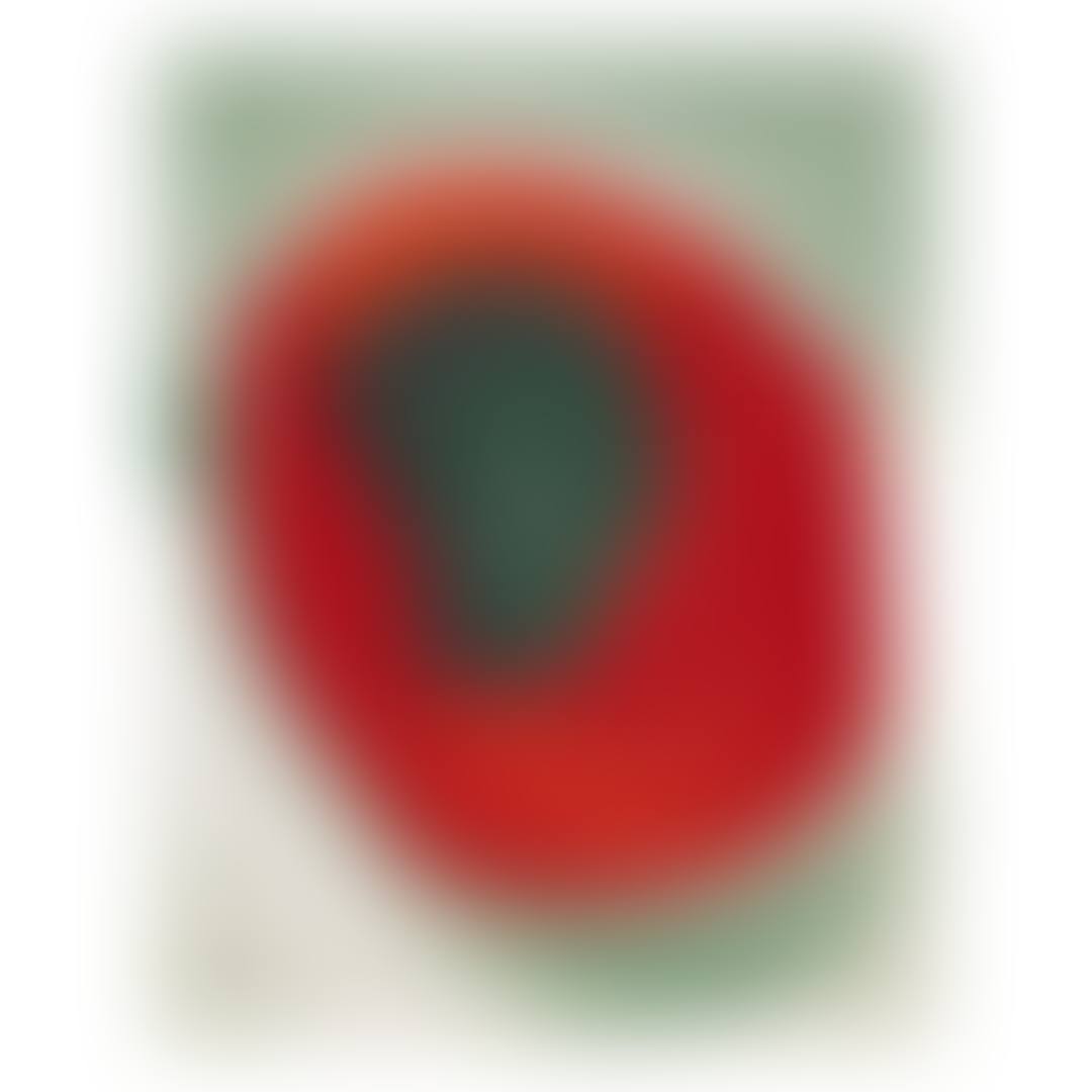 UNTITLED (ALLIGATOR PEAR IN RED DISH) (preview)