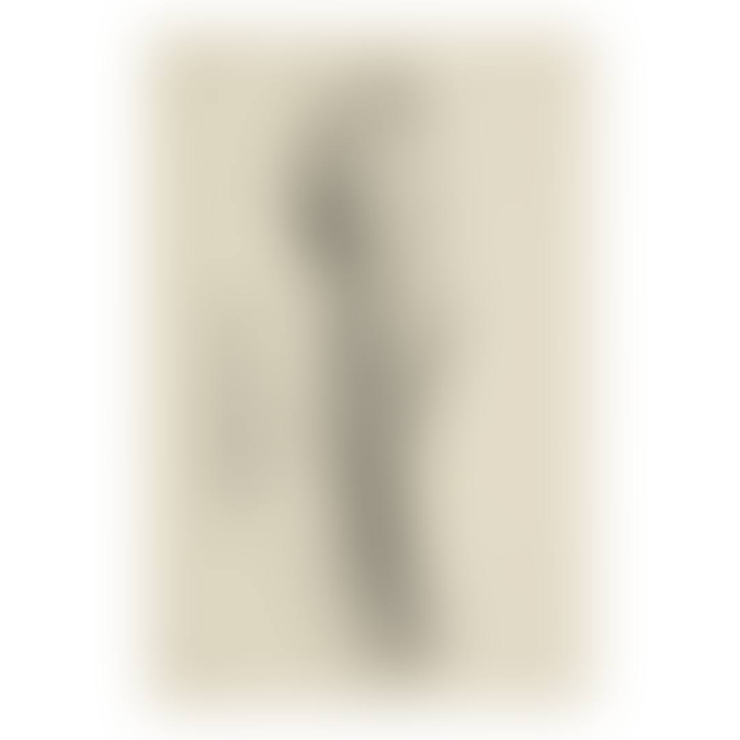 A LONG LEAF (FROM MY SKETCH BOOK) (preview)