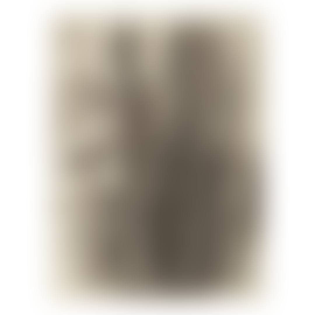UNTITLED (TREES) (preview)
