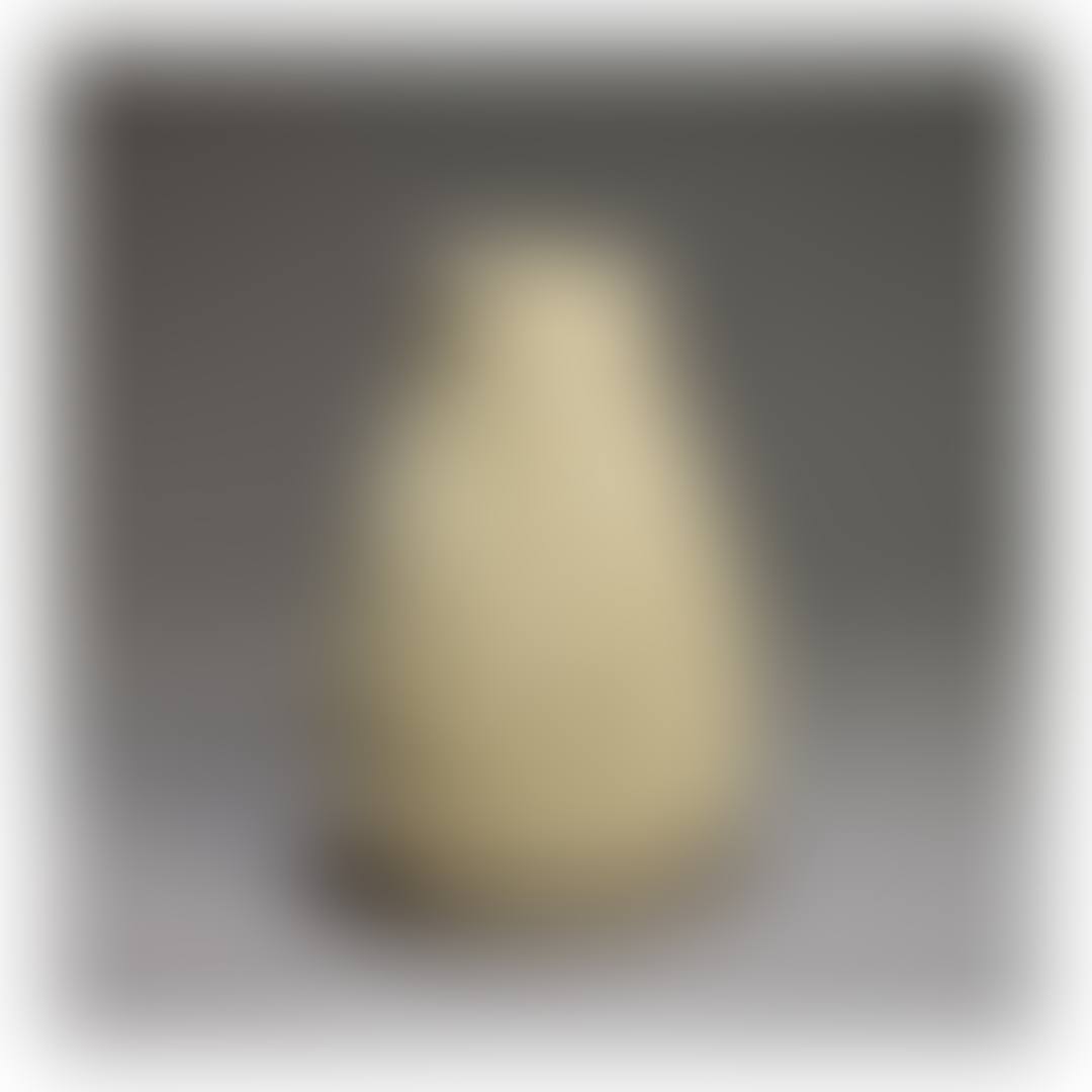 UNTITLED (CLAY POT) (preview)