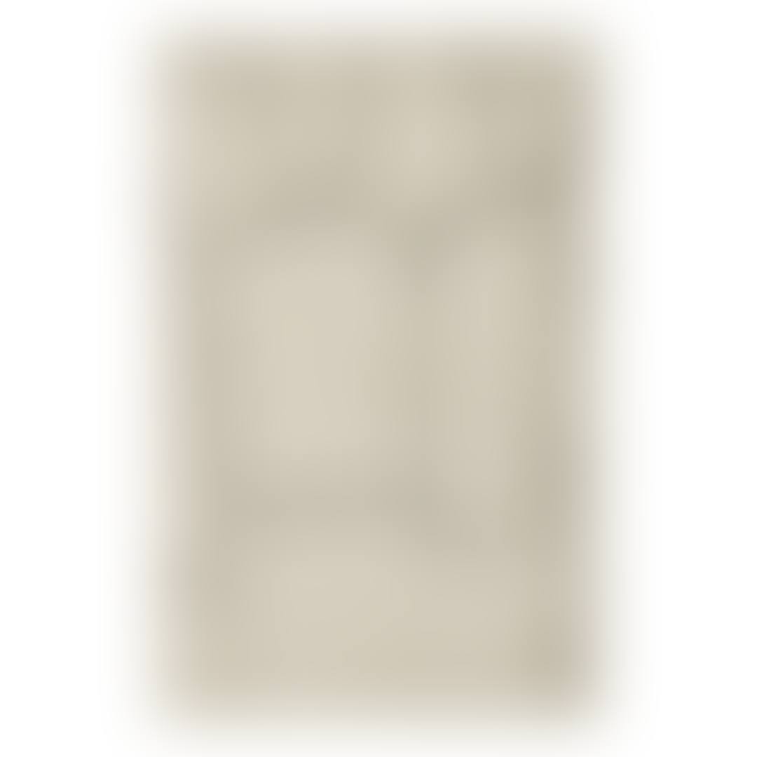 UNTITLED (SACSAYHUAMAN) (preview)