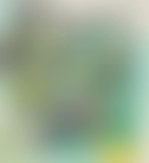 Creative Net-work (preview)