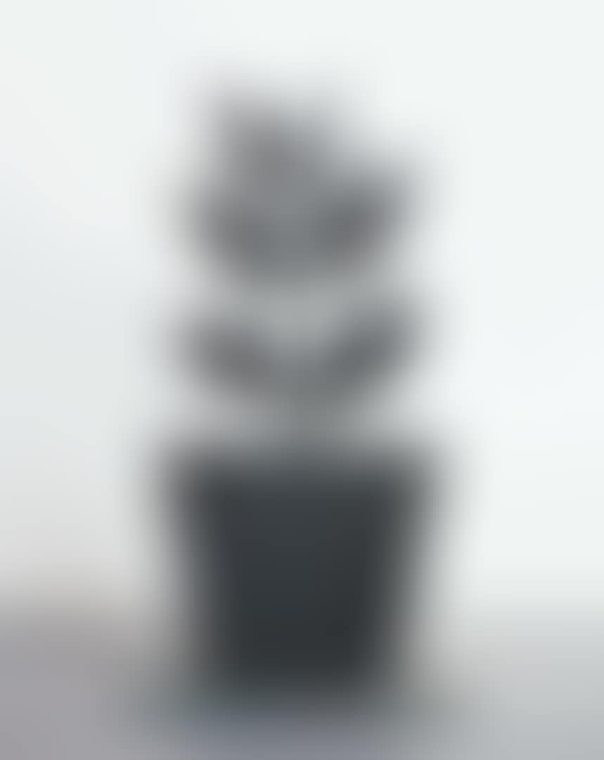 PLANTS (preview)