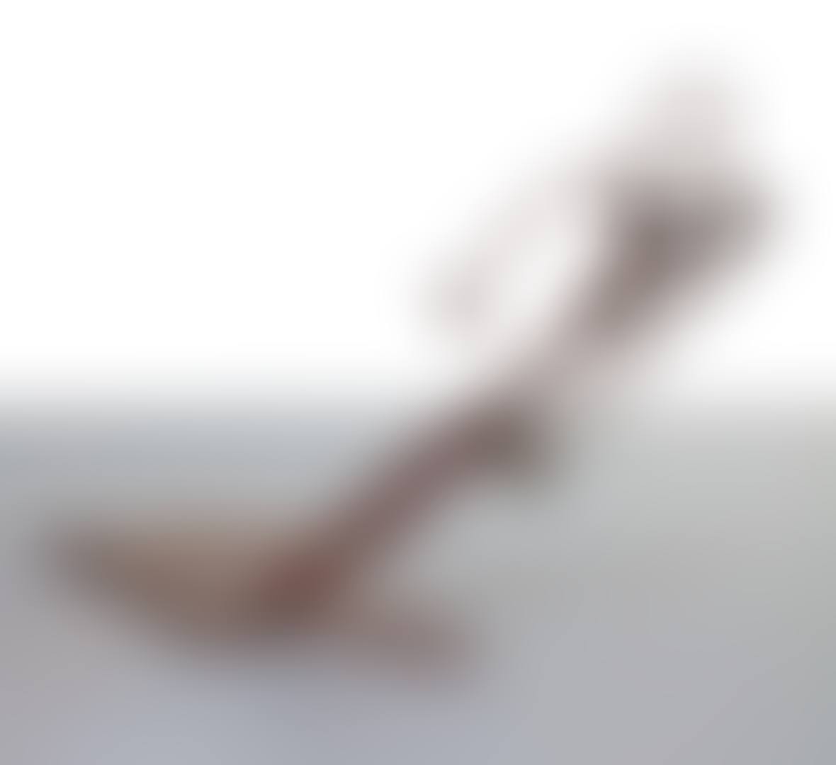 THE TROMBONIST  (preview)