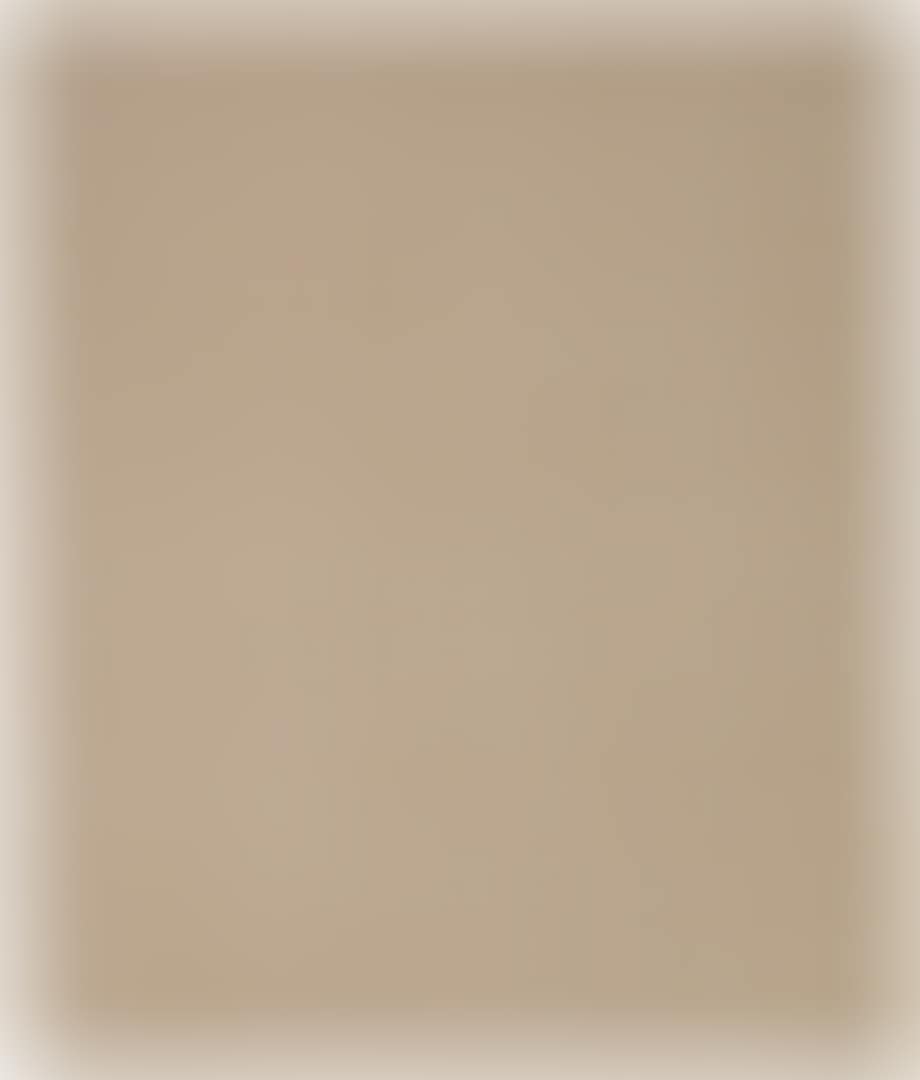 THE PRODUCTION OF AN UNEVENLY DISTRIBUTED SURPLUS RESULTS FROM FACTORY OF FORMAT AND GROUND: FANTASIA EX POST FACTO (preview)