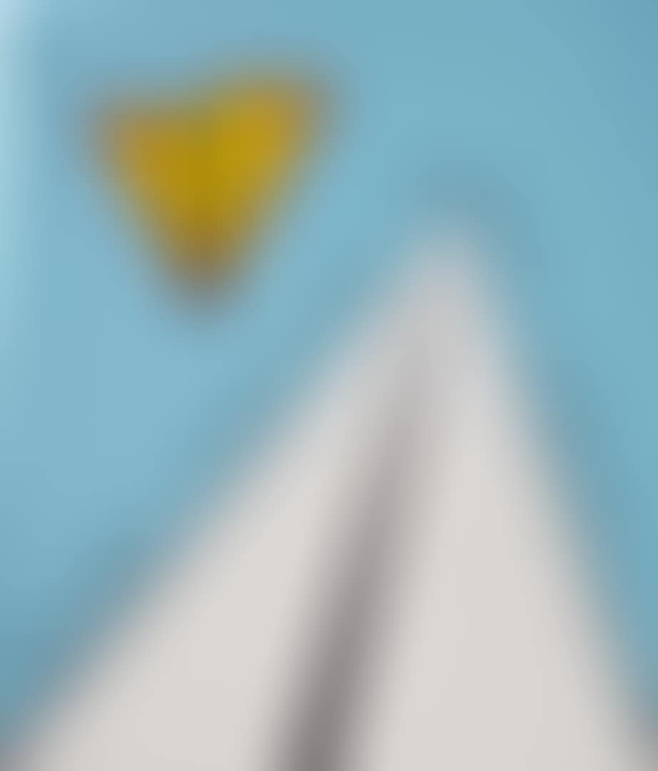 LANDSCAPE  (preview)