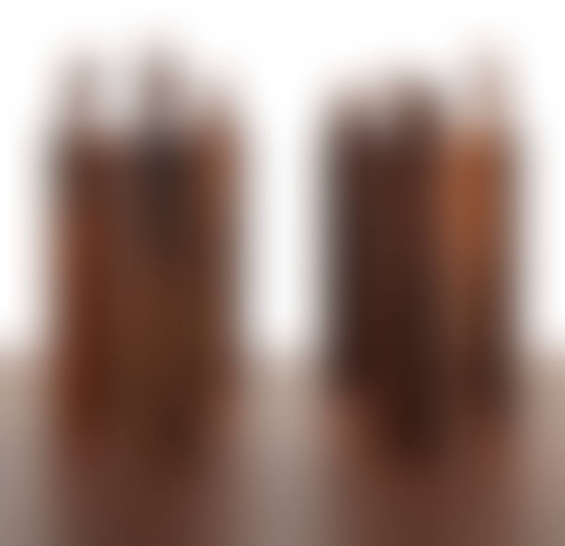 SIX BEARS (preview)