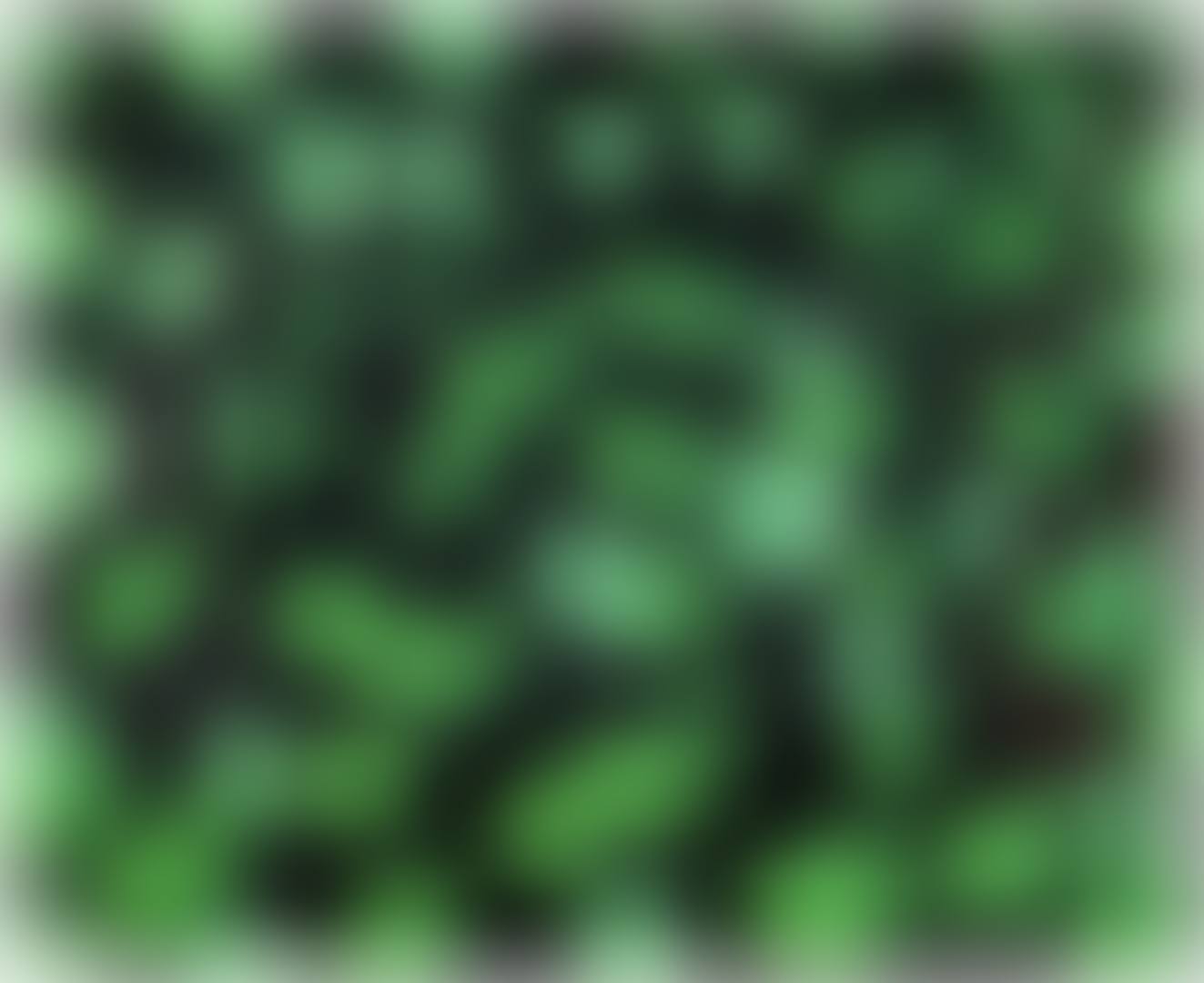 MULTIPLICATION (NOT IN H.) (preview)