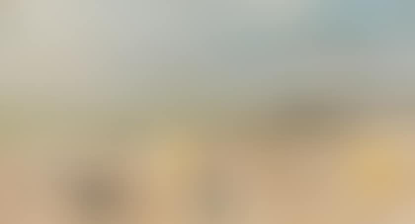 Honfleur beach (preview)