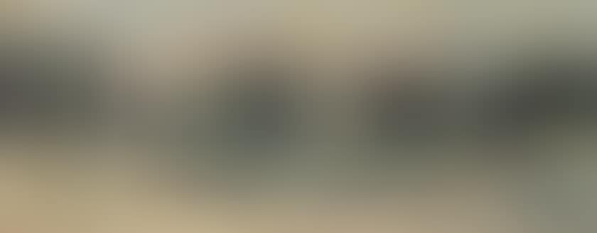 In the luxembourg gardens (preview)