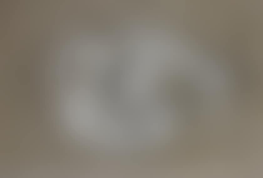 FEMALE NUDE (preview)