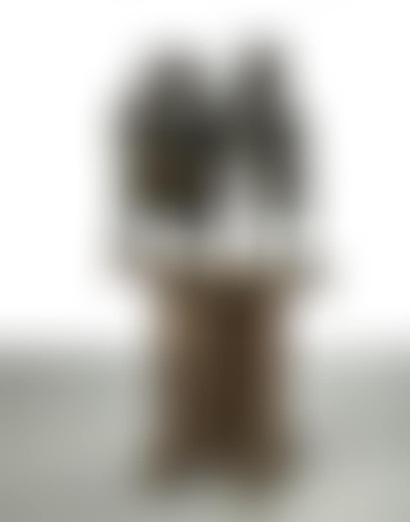 SEE, MY DEAR! (preview)